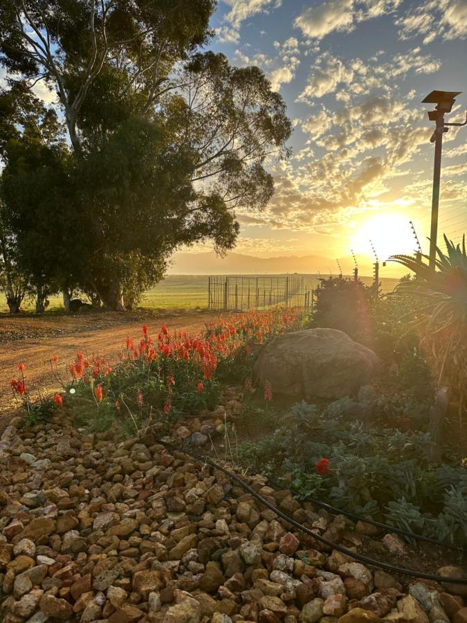 Primo Farm Apartman Paarl Kültér fotó